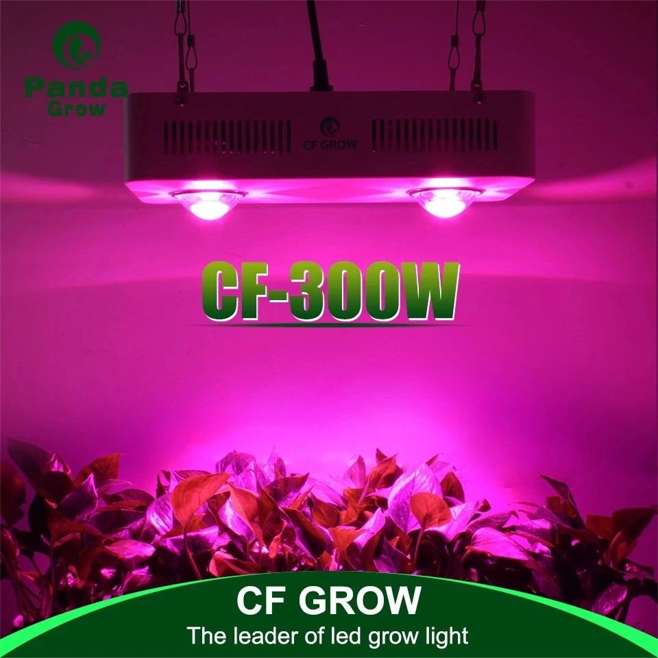 CF-300W-01.webp.jpg