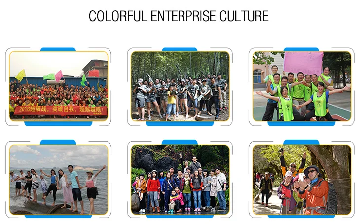 Jumbo Quail Egg Cartons 12 Quail Eggs Box - Buy Jumbo Quail Egg Cartons