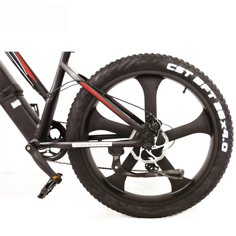 Jack Super Electric Bicycle Speed 80 Km Range Electric Mountain Bike