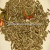 /product-detail/2012-sunflower-seeds-pure-white-982489389.html