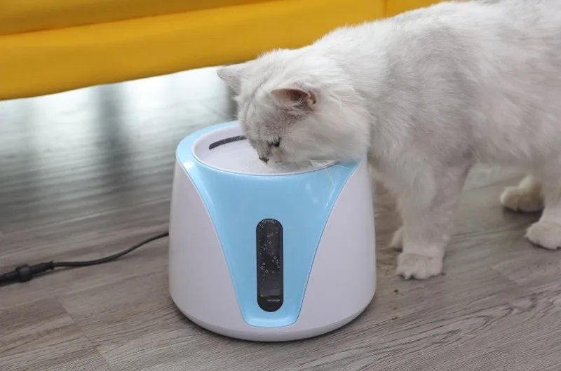 pet Dog  water drinking fountain