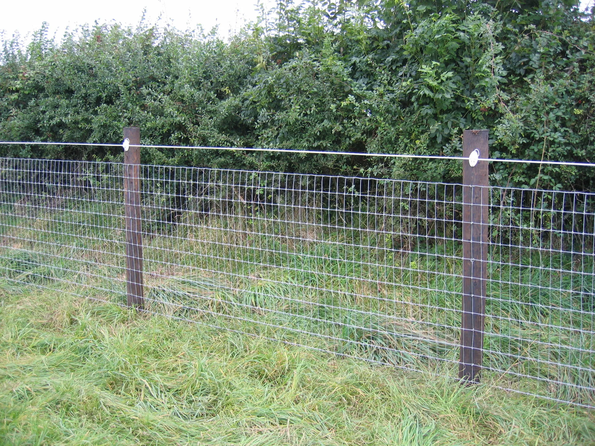 Galvanized Wire Mesh Fixed Knot Woven Wire Fence - Buy Fixed Knot Woven ...