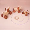 Early Education Preschool development Wooden pulling dog toy