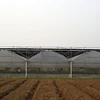 convenient and long service life aluminium multi span greenhouse