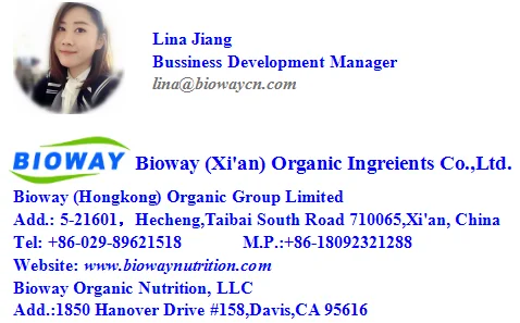 Bulk and Wholesale Organic Pea Protein Isolate