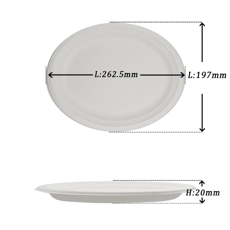 Compostable Dishware Take Away Plates For Restaurant,Disposable Plates For Dinner,10 Inch