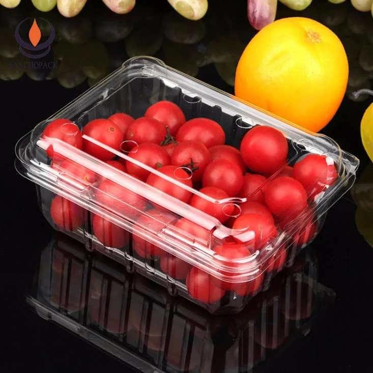 Clear Plastic Food Disposable Container / Fresh Cherry Tomato Packing