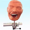Dental Laboratory Equipment Manikins phantom head model dental typodont model