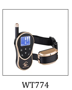 dog training collar