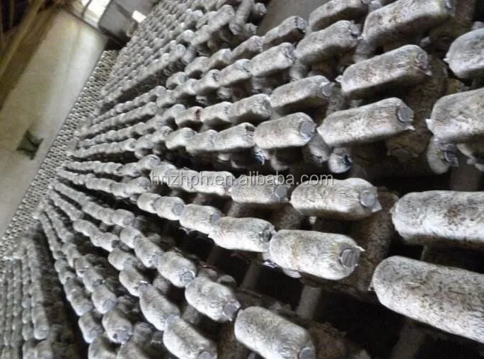 mushroom bagging machine 3.jpg