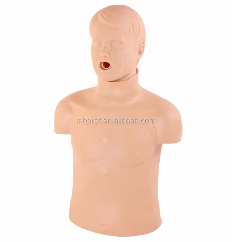 Adult Airway Obstruction First Aid Training Manikin,Choking Manikin