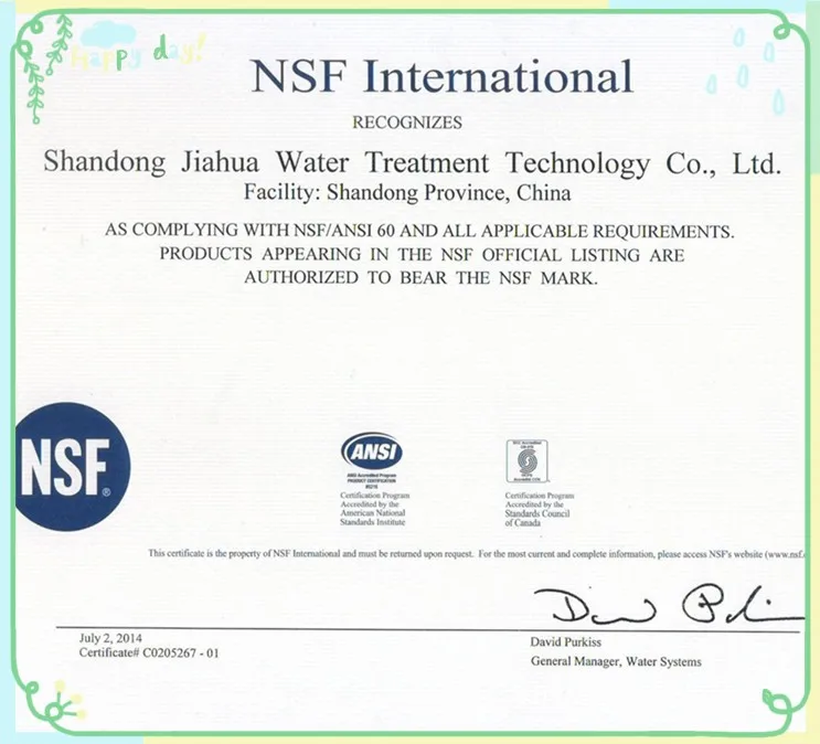 NSF-1_