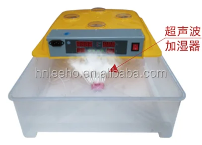 incubator for eggs temperature