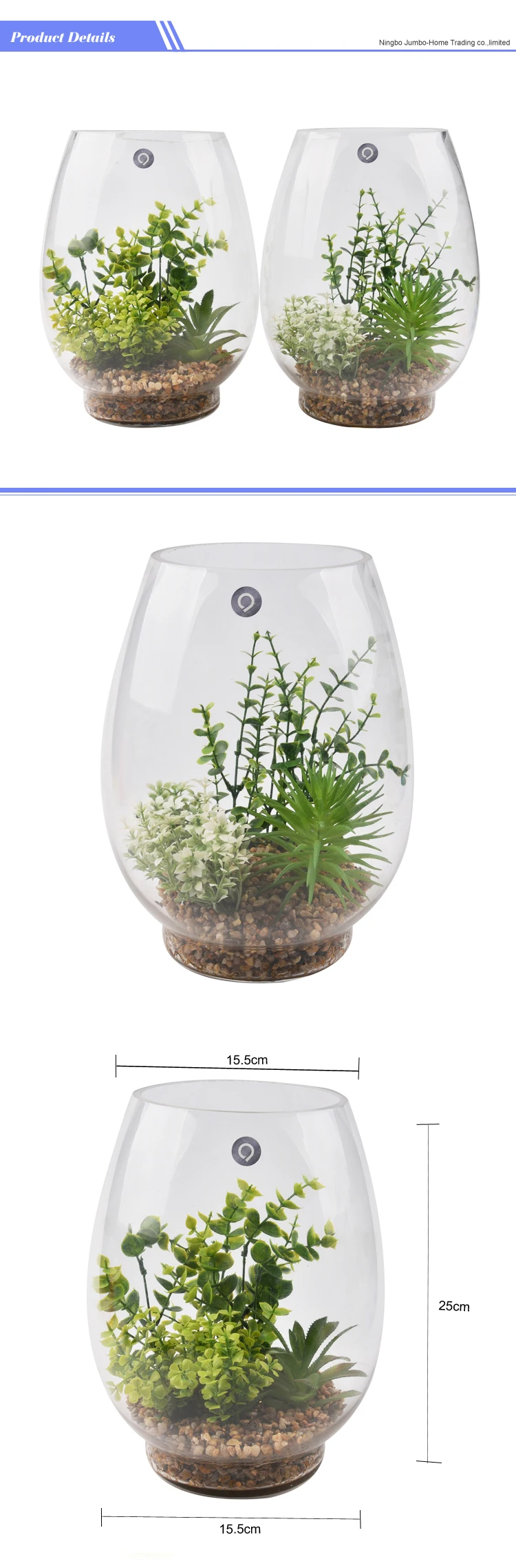 仿真透明玻璃圆仙人掌植物 terrarium 人造肉质植物水盆栽