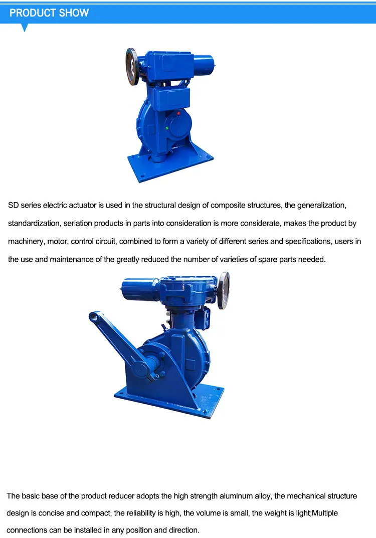 SD-AS-25_-_02.jpg