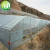 multi tunnel greenhouse