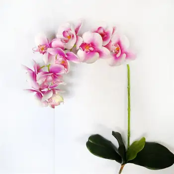28 Pink Bunga Untuk Rumah Dekoratif Realistis Anggrek Sentuhan
