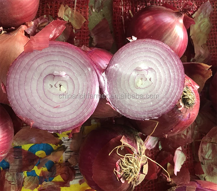 hebe onion tor
