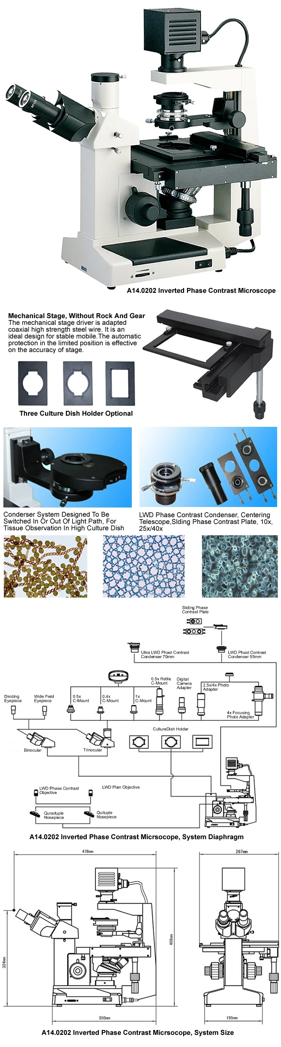 OPTO-EDU A14.0202 400x Trinocular Inverted Phase Contrast Biological Microscope