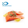 Hot Selling CO treated Fresh frozen chum salmon portion