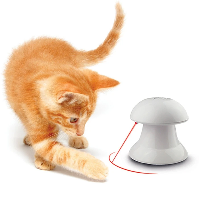 kong laser craze cat toy