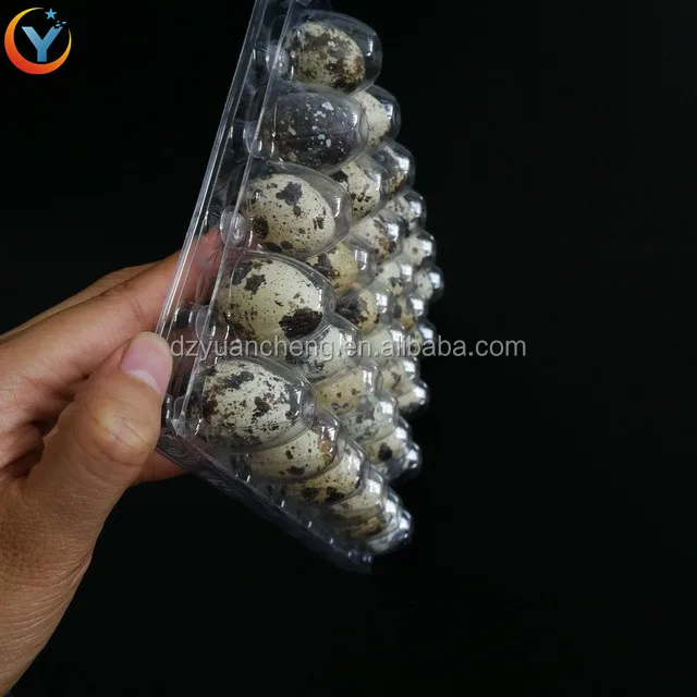 30 Holes Clamshell Clear Plastic Quail Egg Tray For Supperment Quail