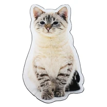 Promotion Cat Serviette De Plage Acheter Des Cat Serviette