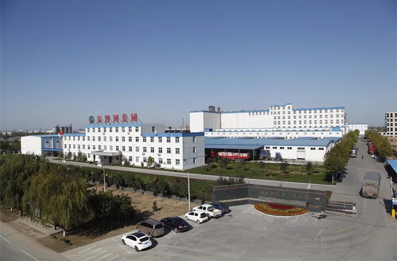 Chinese traditional instant noodles.jpg