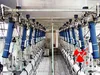 Automatic parallel/fishbone milking machine system