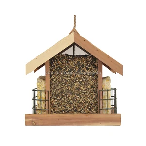 Peanut Bird Wholesale Birds Suppliers Alibaba
