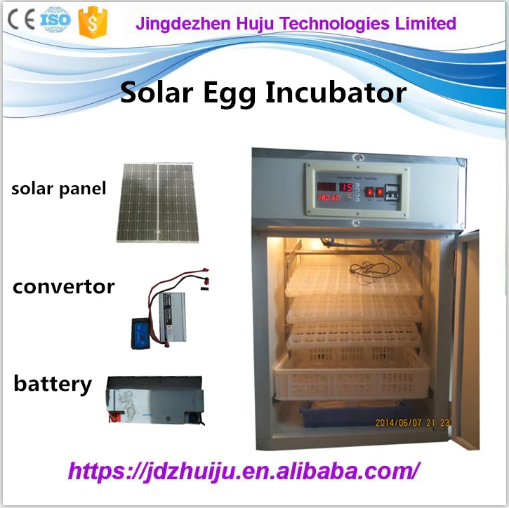 1000pcs Quail Chick Emu Solar Egg Incubator For Sale - Buy ...