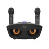 Family KTV Karaoke Speaker ,double microphone,3D Stereo Surround Sound,with USB/BT wireless/TF Slot