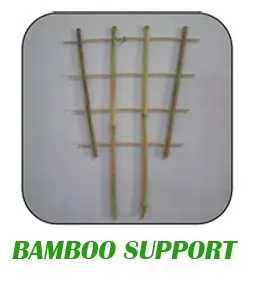 bamboo support