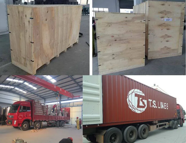 Hot sale ring die bird feed pellet making machine with price