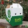 Full color kraft corrugated e-flute fruit carton packaging box