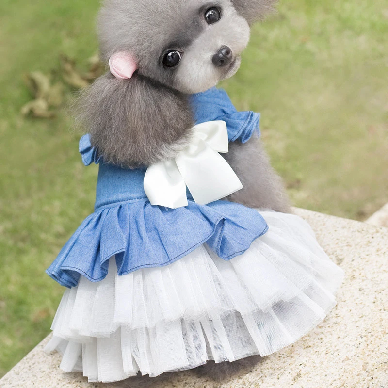 小狗狗的公主狗礼服与蝴蝶弓夏季