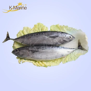TUNA WHOLE 2-3 KG UP price per kg - Marketplace for Buy 