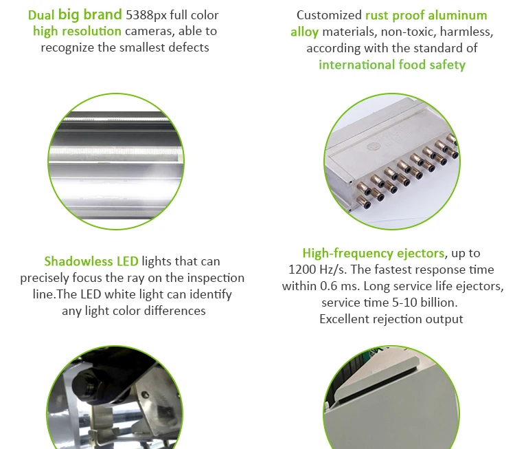nut processing machine