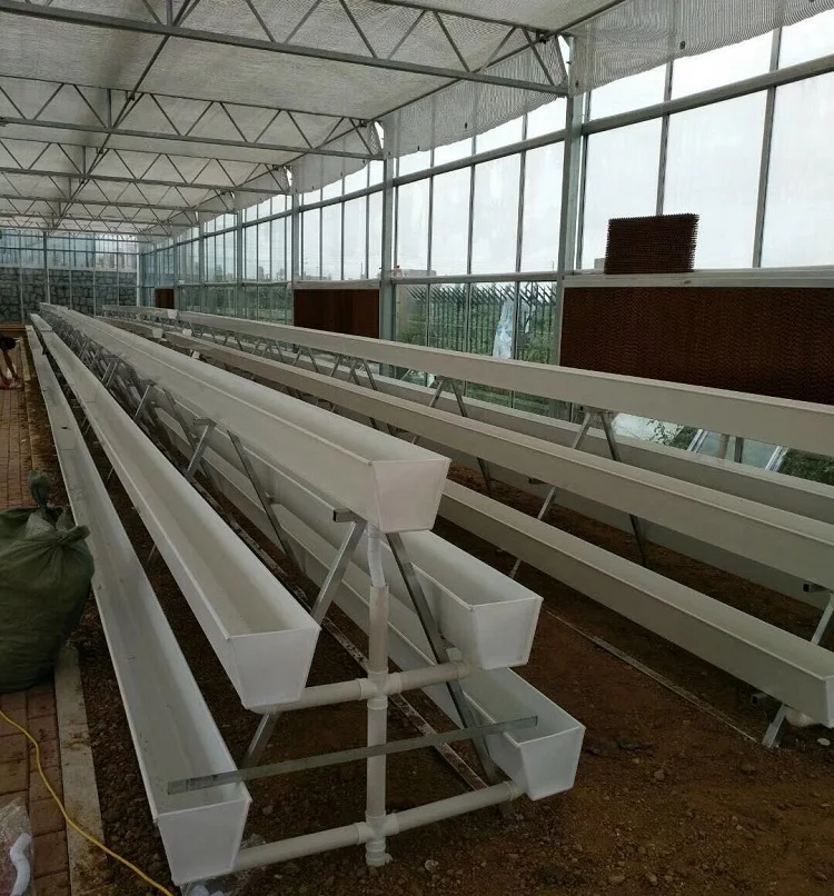 NFTGrowing System 1.jpg