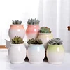 Concise Style Container Bonsai Planters Ceramic Flowing Glaze Base Serial Set Succulent Planter Pot Cactus Plant Pot Flower Pot