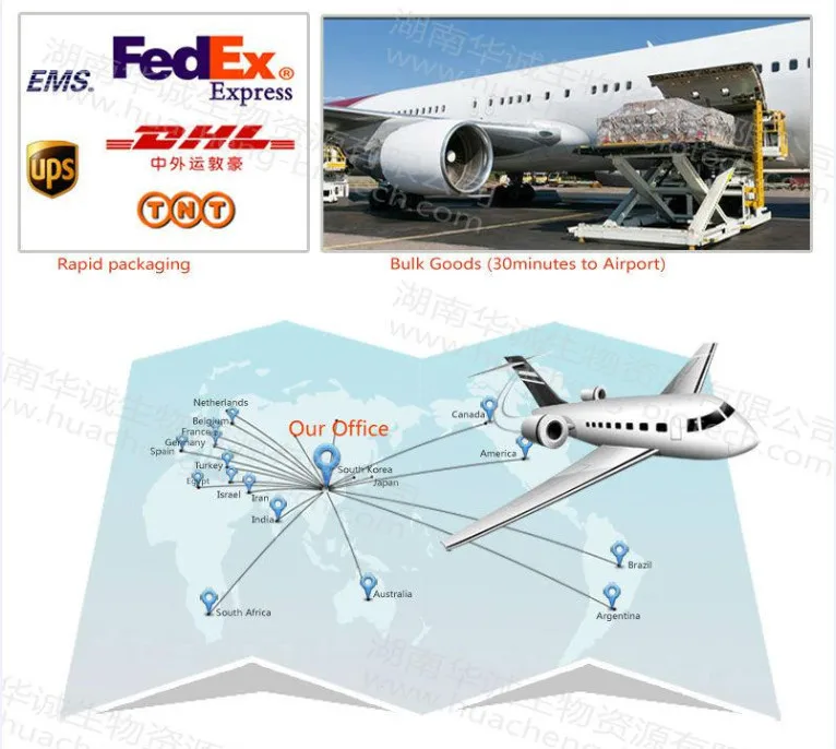 logistic