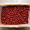 2052 Da Zao Hot Sale Chinese Preserved High Quality Red Dates