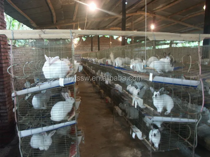 Commercial Rabbit Breeding Cages In Kenya Buy Rabbit Breeding Cages