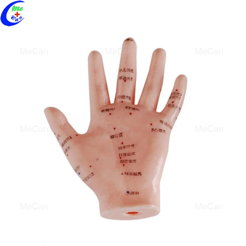 Hand Acupuncture Model