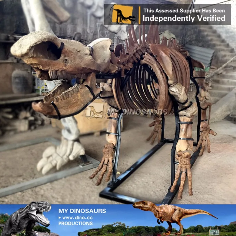 dinosaur skeleton replicas