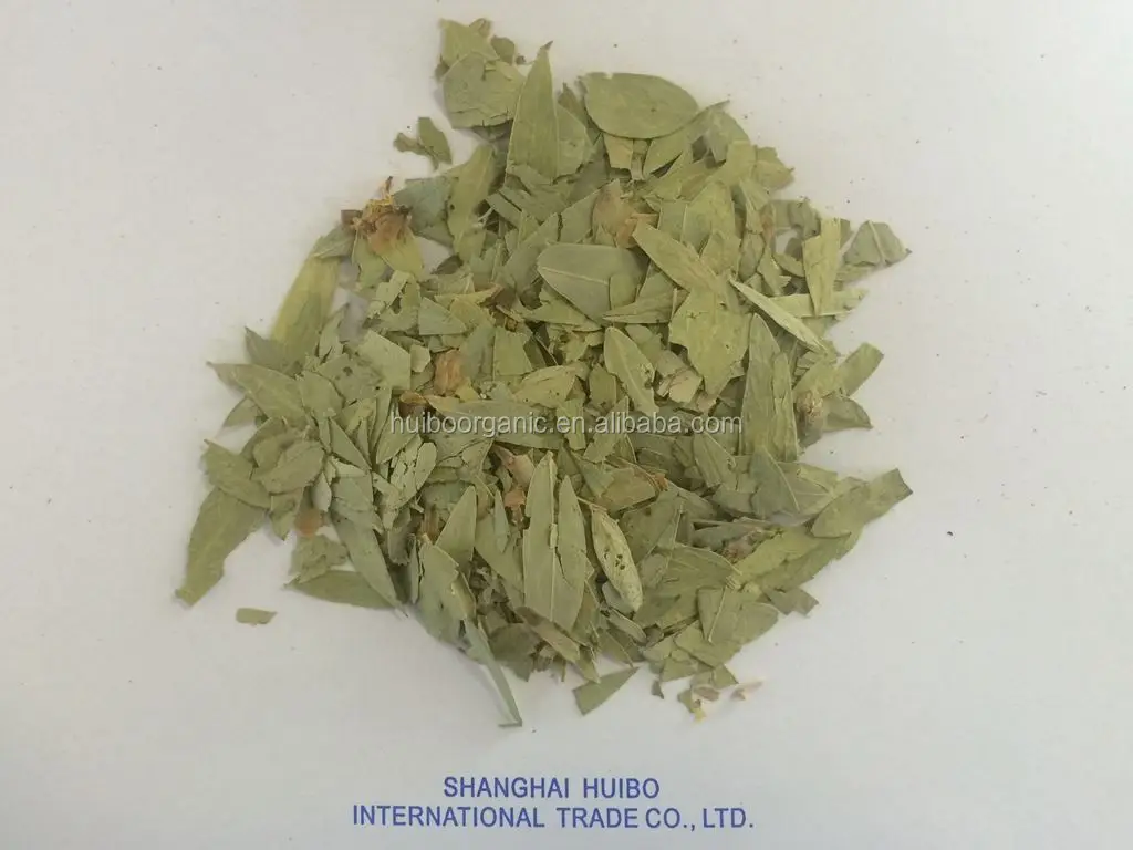 senna leaf _ HUIBO.jpg