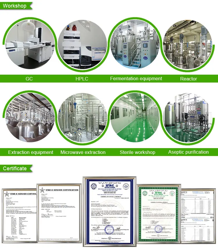 10.Company Information-02.jpg