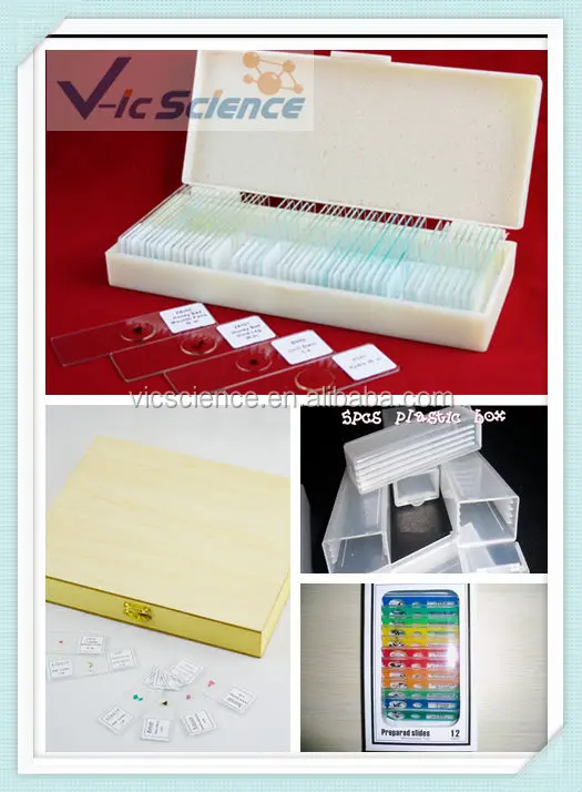 prepared slides (Pack the slides in different box)_.jpg