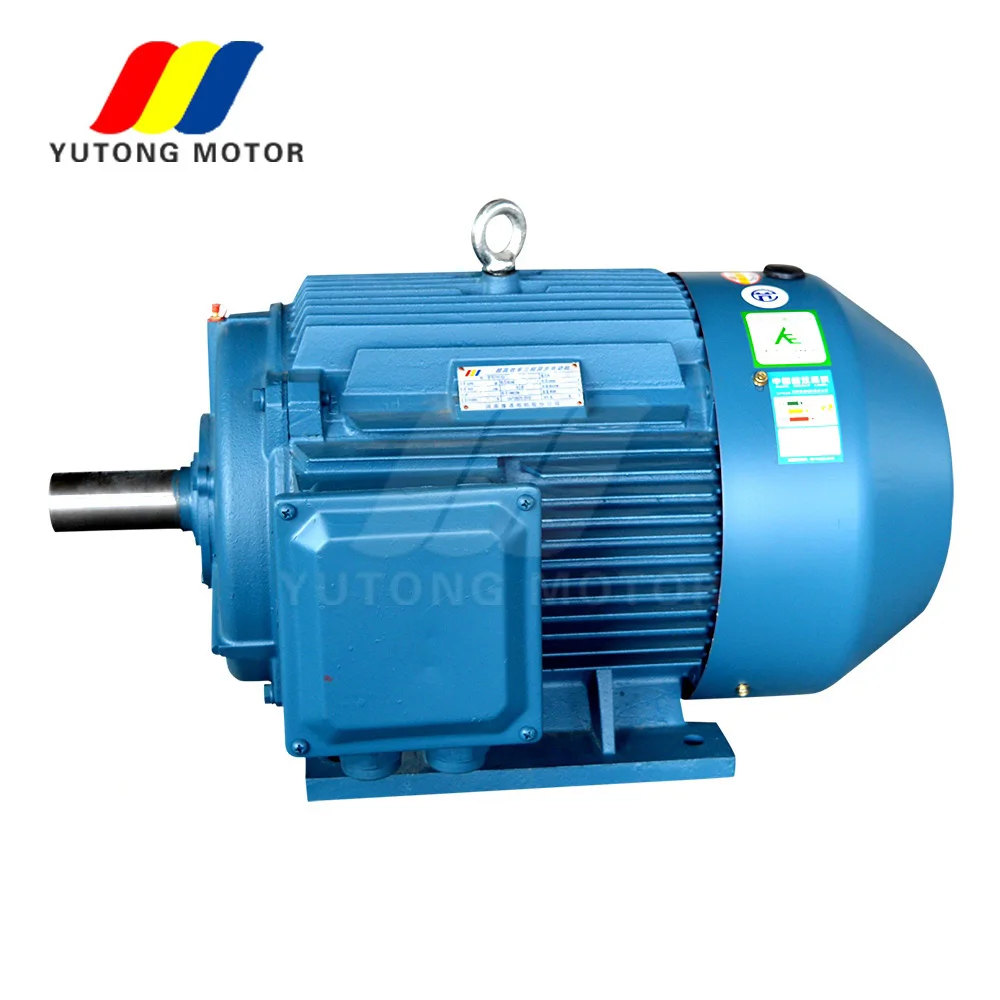 induction motor pump