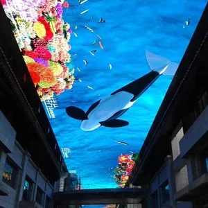 Indoor Led Video Ceiling Indoor Led Video Ceiling Suppliers And